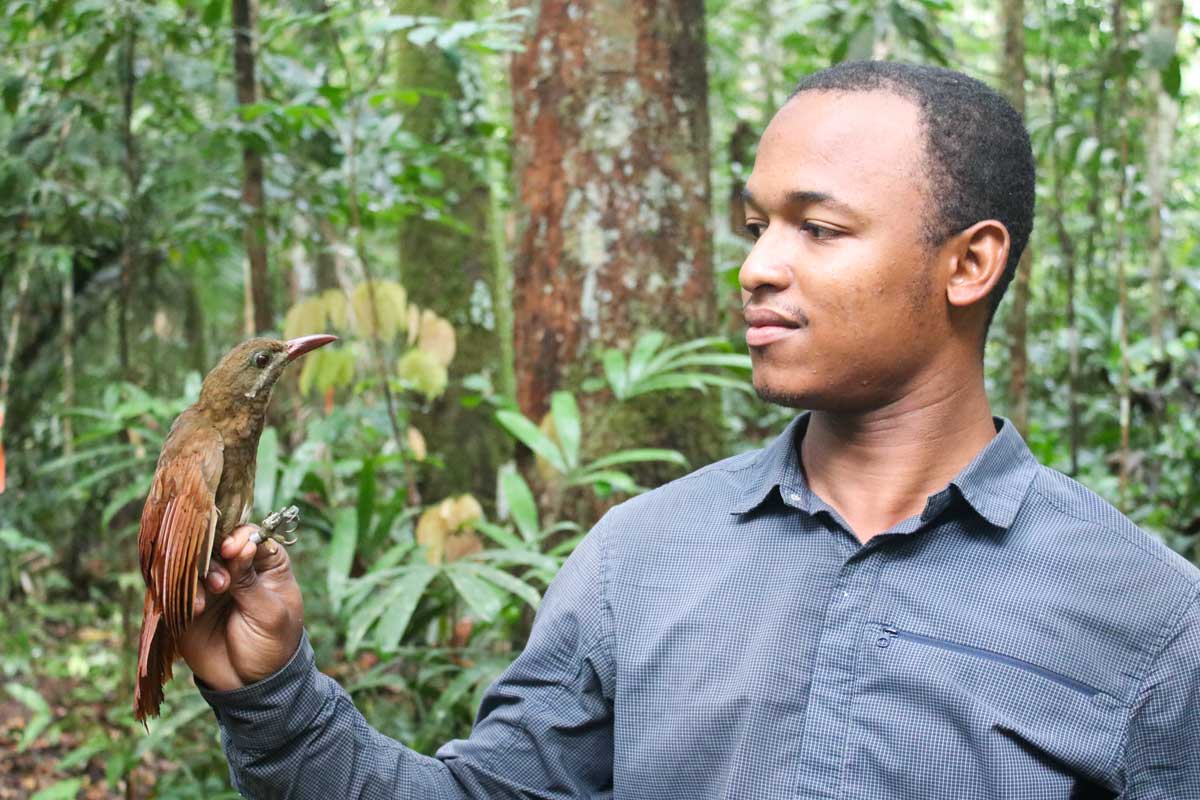 Handling a bird (Photo: © Arianne-Elise Harris)